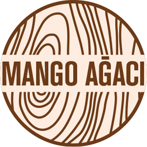 Paisley Mango Sunum Kasesi Mavi (30x8 cm)