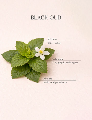 Black Oud Çubuklu Oda Kokusu Siyah (250 ml)