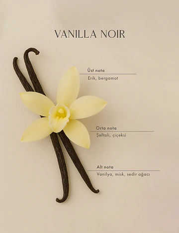 Vanilla Noir Ahşap Fitilli Soy Wax Mum