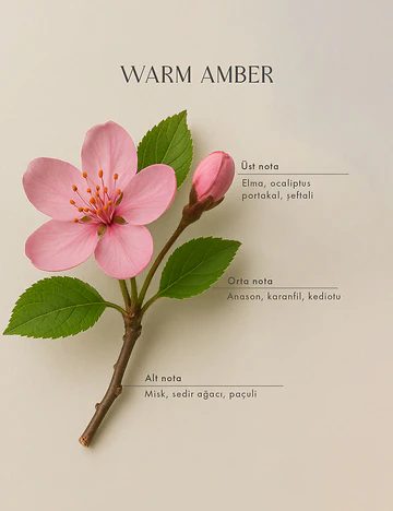 Warm Amber Oda Spreyi (500 ml)