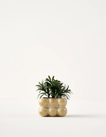 Botani Saksılı Yapay Çiçek Krem (8x8x11 cm)