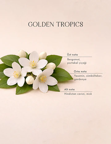 Golden Tropics Çubuklu Oda Kokusu 3'lü Yeşil (100 ml)