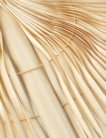 Lina Dekoratif Bambu Duvar Dekoru Naturel (3x67x71 cm)